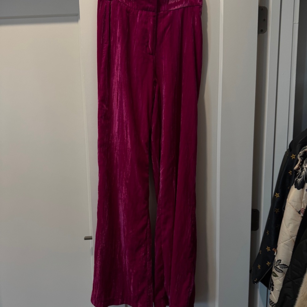 Nast Gal | Crushed velvet Pants | NWT - Size 4